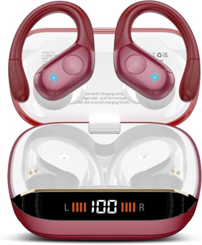 Ltinist Bluetooth 5.4 Headphones