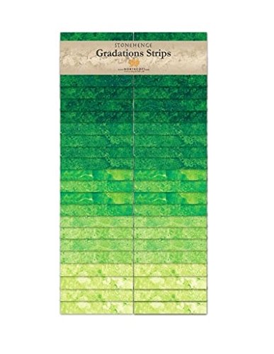 Northcott Fabric Stonehenge Gradation Bright Rainforest 40 2.5