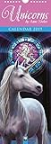 Anne Stokes Unicorns slim calendar 2019 (Art Calendar) by 