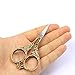 BIHRTC Vintage European Style Scissors Stainless Steel for Cross Stitch Cutting Embroidery Sewing Handcraft Craft Art Work DIY Tool(Bronze)