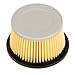 HIFROM Air Filter Replace for Tecumseh 30727 30604 Fit H22 H25 H30 H35 H40 H50 H60 John Deer AM30900 Cub Cadet 488619 488619-R1 Lesco 050113 primary
