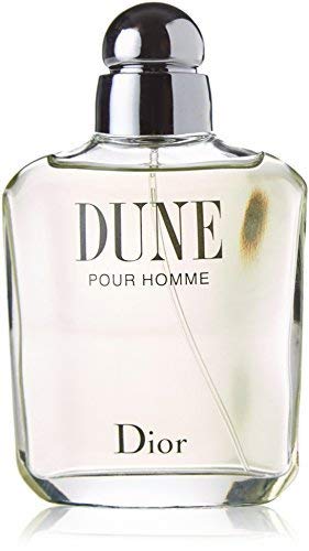 christian dior dune men
