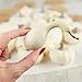 Factory Direct Craft Set of 16 Assorted Harvest Off White Faux Gourds and Pumpkins for Halloween, Fall and Thanksgiving Decorating for Halloween, Fall and Thanksgiving Decorating