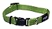Reflective Dog Collar for Small Dogs, Adjustable from 8-13 inches, Green