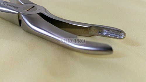 PREMIUM GRADE GOLD HANDLE DENTAL UPPER ROOTS EXTRACTING FORCEPS #44 SPECIAL HANDLE (DH BRAND)