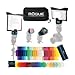 Rogue Photographic Design ROGUE Kit 2 FlashBender 2 Portable Lighting Kit (Multicolored)