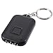 Mini LED Flashlight w/ Keychain