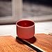TOPFUND C Note Crystal Singing Bowl Root Chakra Red Color 12 inch O-ring and Rubber Mallet Included