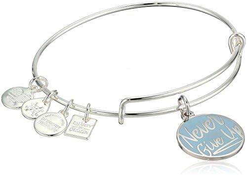 Alex And Ani Womens Charity By Design Never Give Up Charm Bangle Bracelet Shiny Silver Expandable Buy Online At Best Price In Uae Amazon Ae