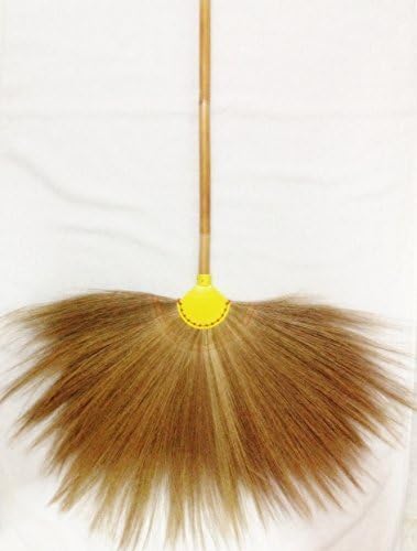 Broom Grass Bamboo Handle Natural Color (2 Set/Pack) by Broom Glass