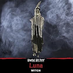 Haunted Hill Farm 5.2 ft. Hanging Witch with Button