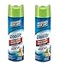 Woolite Heavy Traffic Carpet Foam + Protection Cleaner, 22 fl oz (Pack of 2)