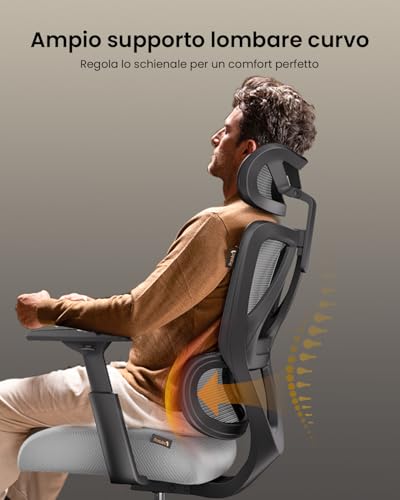 ProtoArc EC100 Ergonomic Office Chair - Desk Chair with 10cm Spring Cushion, Lumbar Support, Adjustable Arms and Headrests, Mesh Swivel Chair for Home and Office, Grey