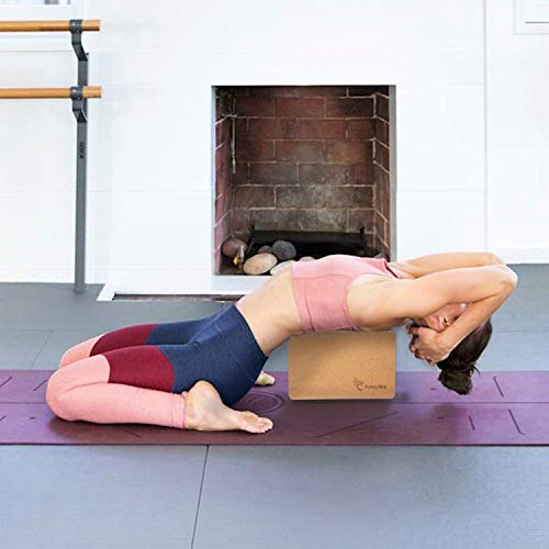 Frenzybird 2 Piece Yoga Blocks , Nature Cork Yoga Blocks,Light weighted, Ideal to Support and Deepen Poses, Improve Strength,Balance and Flexibility in various yoga exercises,Pilates,Workout,Fitness