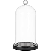 PH PandaHall Glass Dome Cloche Bell Jar Black with Top Handle 7.87x3.54inch | Clear Glass Display, Decorative Display Case, For Plants Flower Cake Clay Succulents, Christmas Display