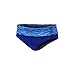 TYR Sonma Active Banded Bikini Bottom, Small, Velvet