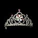 Fun Central LED Light Up Tiara for Girls' Princess Party Costume Accessories - Multicolor