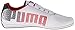 PUMA Men's BMW MS Evospeed 1.3 Lo AC Shoe