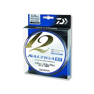 Daiwa Saltiga 12 Braid Exsi, 300 Meter, Multicolor, Fil De Pêche Tressé, Enduit De Silicone