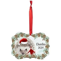 Salt and Pepper Hedgehog Christmas Ornament 2024