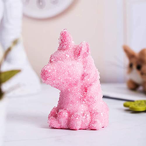 NSKER Science Kids Unicorn Crystal Kit Easy DIY Stem Toys Lab Experiment Results, A Great Educational Gift with Crystal Unicorn for Kids & Teens, Boys & Girls Age 6+ (Pink)