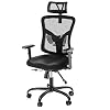 NOBLEWELL Office Chair Ergonomic Office Chair High Back Mesh Computer Chair with Lumbar Support Adjustable Armrest…