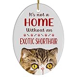 Tabby Exotic Shorthair Cat Christmas Ornament 2024