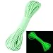 ZJchao 9 Strand 550 Luminous in The Dark Paracord Parachute Cord (Green, 100ft)
