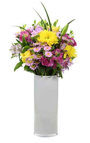 Spring Splendor Bouquet, Fresh Cut Flowers, No Vase, From Hallmark Flowers