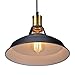 Smart & Green Lighting, Industrial Metal Pendant Light, Antique Style Lampshades Fit for Edison Bulb, Kitchen Light Fixtures,Black, 1 Pack