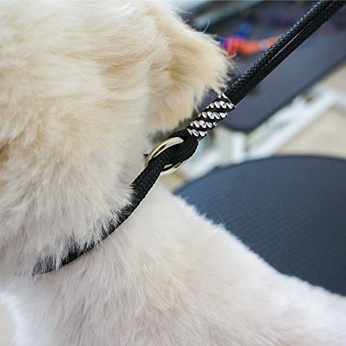 image for Phenfor Pet Bathing Tether Straps with Suction Cup kit - Industrial-St