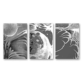 Ink Water Spreading Painting Artwork for Home Framed...
