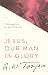 Jesus, Our Man in Glory: 12 Messages from the Book of Hebrews by 