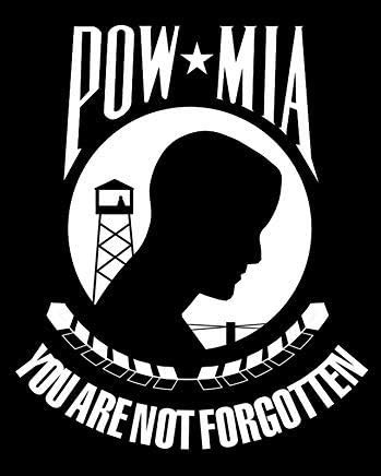 Army Vietnam Veteran 198th Infantry Brigade Bumper Car Sticker Decal