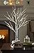 LOFTPLUS LED Birch Tree Hand-Painted Bonsai String Light 24 LED for Indoor Use Warm White Battery-Operated AC Adapter Burlap Sack Included - 24inch Tall
