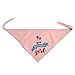 JOYLOADER Dog Birthday Bandana Girl - Dog Birthday Party Supplies - Birthday Girl Dog Bandana - Ideal Birthday Gift Idea for Pet