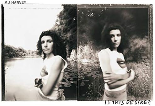 PJ Harvey - B-Sides, Demos & Rarities[6 LP Box Set] - Amazon.com Music