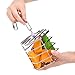 KINTOR Baffle Cage,Parrot Stainless Steel Foraging Toy for African Grey Amazon Cockatoos Eclectus Large Conures Macaw (Large)