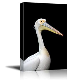Canvas Prints Wall Art - Pelican on a Black Background | Modern Wall Decor/Home Decoration Stretched Gallery Canvas Wrap Giclee Print. Ready to Hang - 12" x 18"