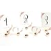 Koyal Wholesale Rose Gold Classic Round Placecard Holders, 8-Pack, Menu Card Holder, Table Number Holders