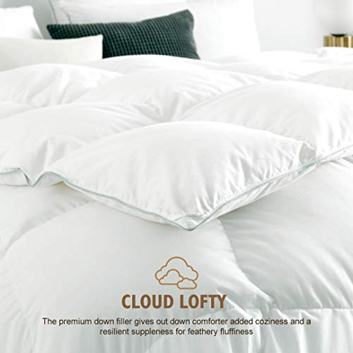 DWR Luxurious Goose Feathers Down Comforter Queen, UltraSoft Pima