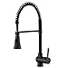Avola Single Lever Solid Brass Kitchen Sink Faucet, Oil Rubbed Bronze,High Arc Swivel Pull Down Spout Mixer Bar Faucet