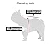 K9 Sport Sack | Dog Carrier Adjustable Backpack (Large, Air 2 - Charcoal Grey)
