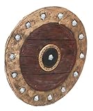 Viking Shield Costume Accessory