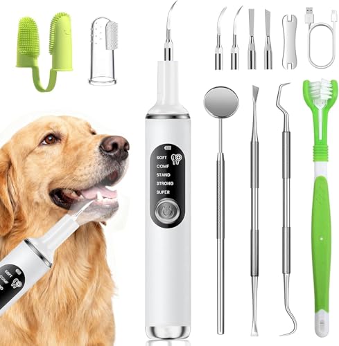 PATWING Ultrasonic Teeth Cleaning Kit