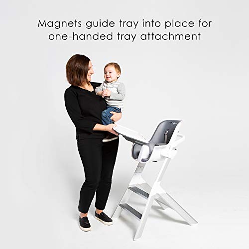 4moms high chair tray
