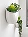 Mkono Wall Planter with Artificial Plants, Decorative Potted Fake Succulents Picks Assorted Faux Succulent in Modern Ceramic Hanging Plant Pot Vase for Home Decor, Set of 3thumb 3