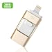 Gold 8GB Horse Print Metal USB Flash Drive 2.0 Waterproof Metal Pendrive Key Ring USB Memory Storage