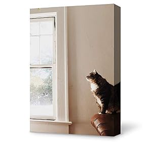 Painting Wall Poster Decor for Living Room Framed
