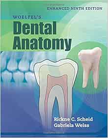 Woelfel's Dental Anatomy